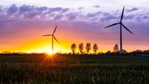 Wind farm