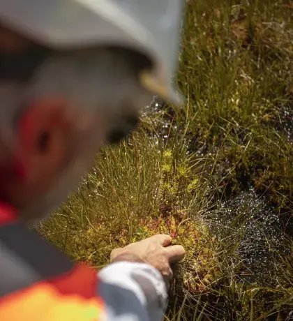 Ecologue montrant une zone humide dans la nature