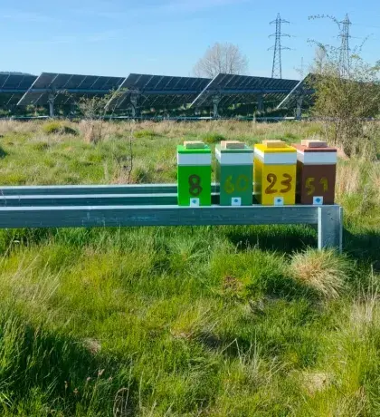 Ruches installées sur une parc solaire en France