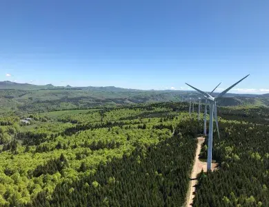 Eolienne Foret