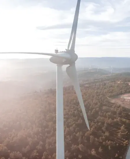 Eolienne, Foret