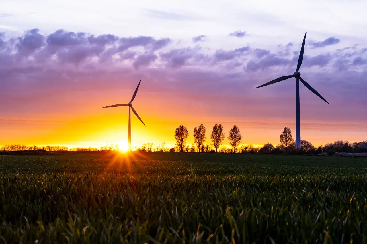 Wind farm