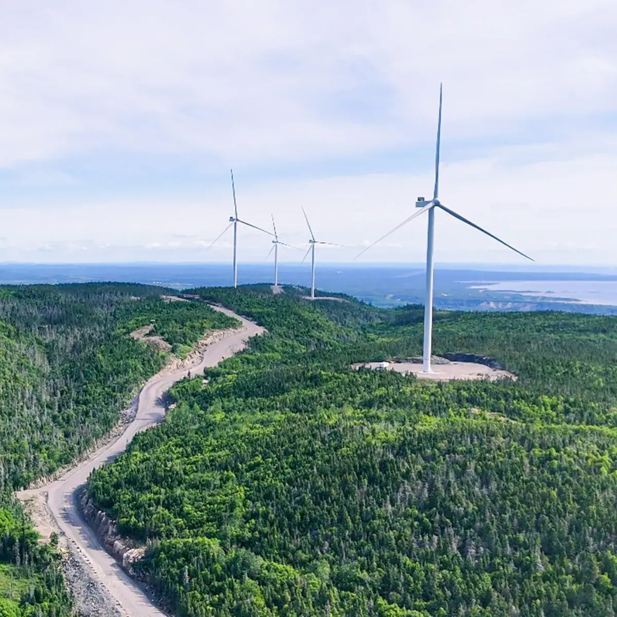 Parc éolien Apuiat vu du ciel