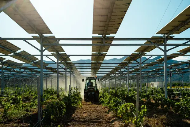 Installation agrivoltaïque sur vigne