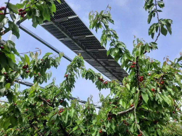 Panneaux solaires installés sur une exploitation agricole