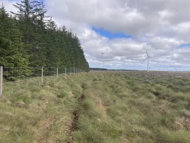 Toftingall sits next to the Halsary Wind Farm
