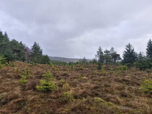 Lochluichart Estate in Scotland
