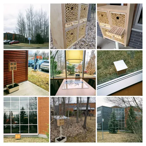 habitations