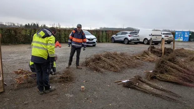 Photo Bourse aux arbres Febvin-Palfart
