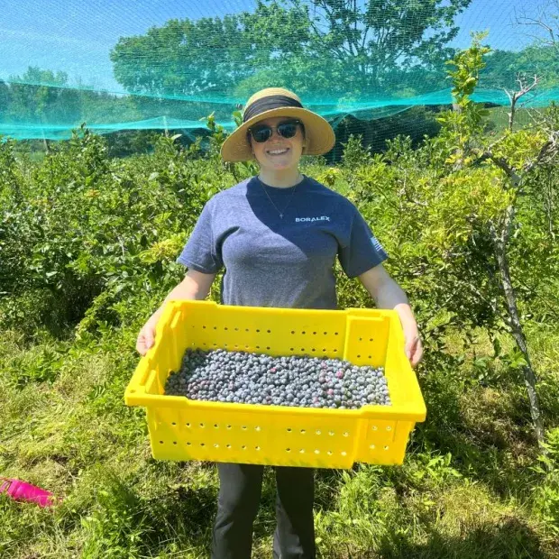 Blueberry Picking with ASA