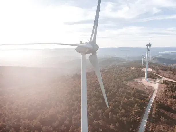Eolienne, Foret